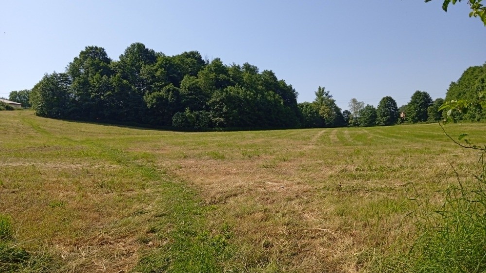 Pozemek pro bydlení · Petřvald u Karviné, 735 41 - 3