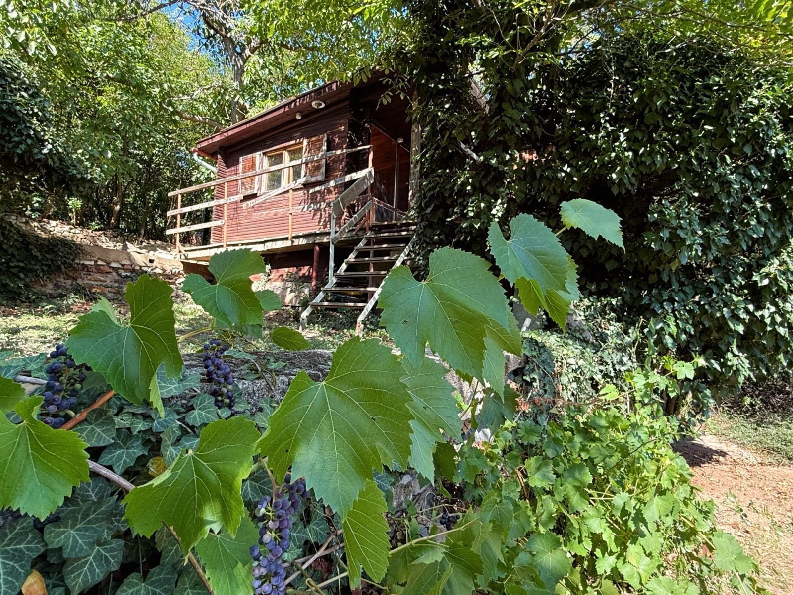 Chaty, Praha - Slivenec, 25 m²