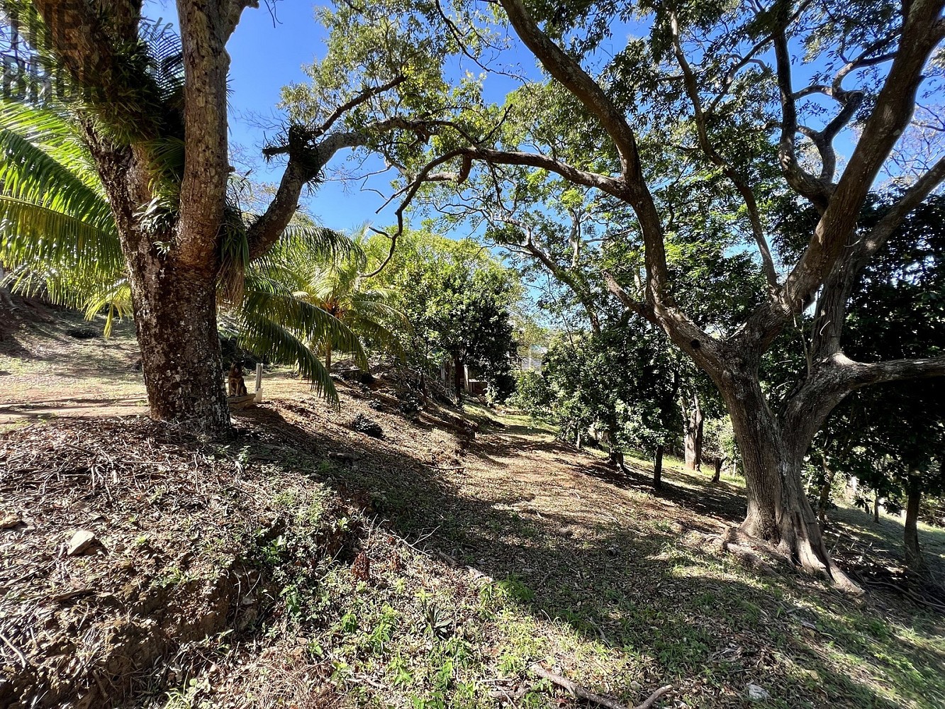 Pozemek pro bydlení · Coxen Hole, Roatán, Honduras - 3