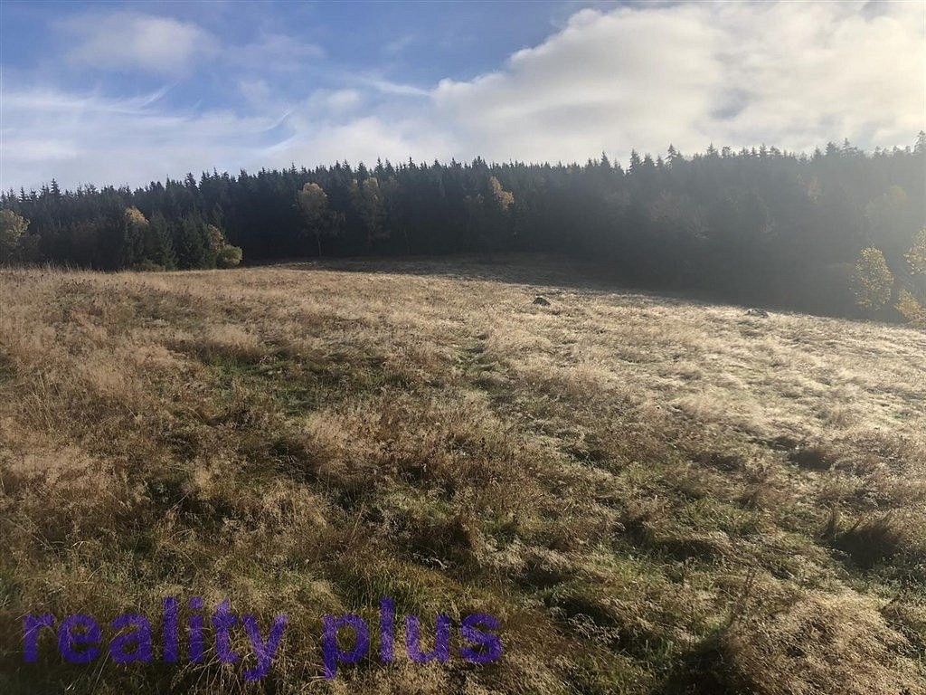 Louka · Bedřichov, okres Jablonec nad Nisou, Liberecký kraj - 3
