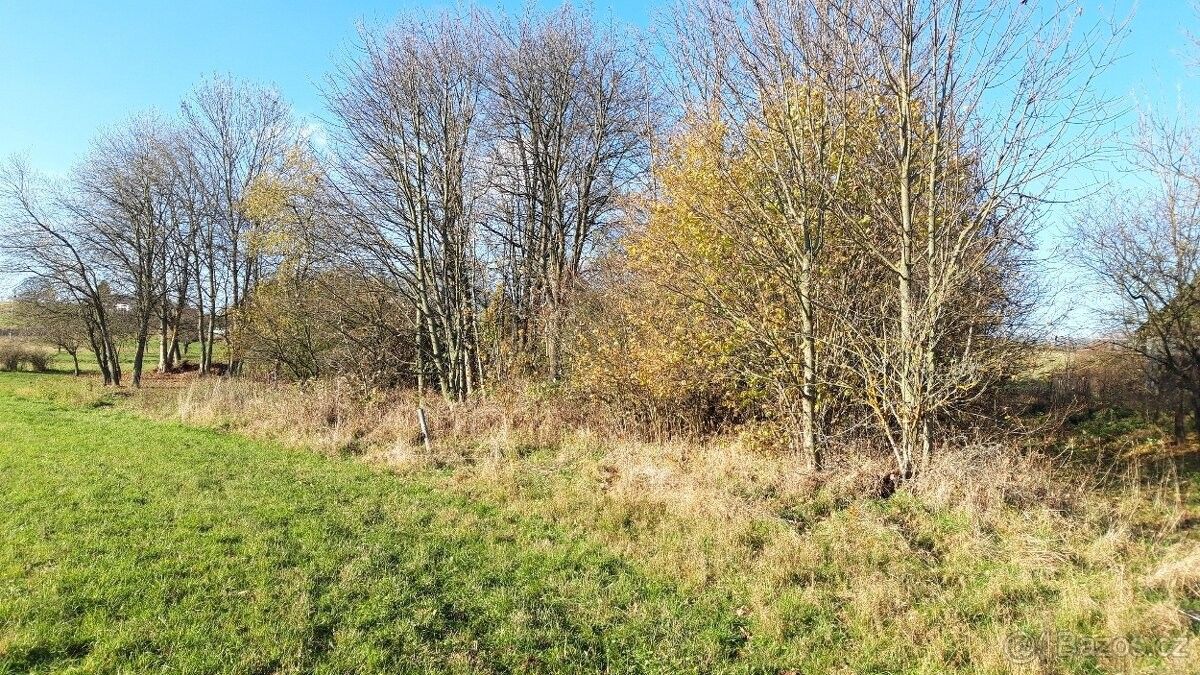 Pozemky pro bydlení, Zábřeh, 789 01