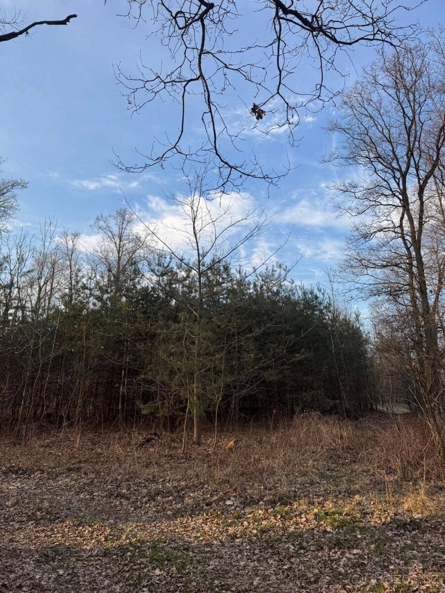 Prodej pozemek pro bydlení - Opatovice nad Labem, 533 45