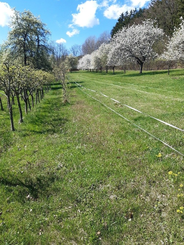 Zahrady, Chvalšiny, 382 08 - 1