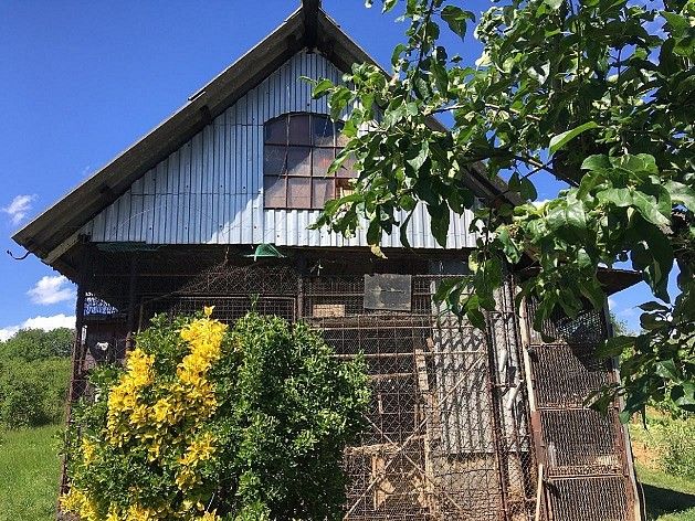 Prodej chalupa - Staré Město, okres Uherské Hradiště, Zlínský kraj, 38 m² - 5