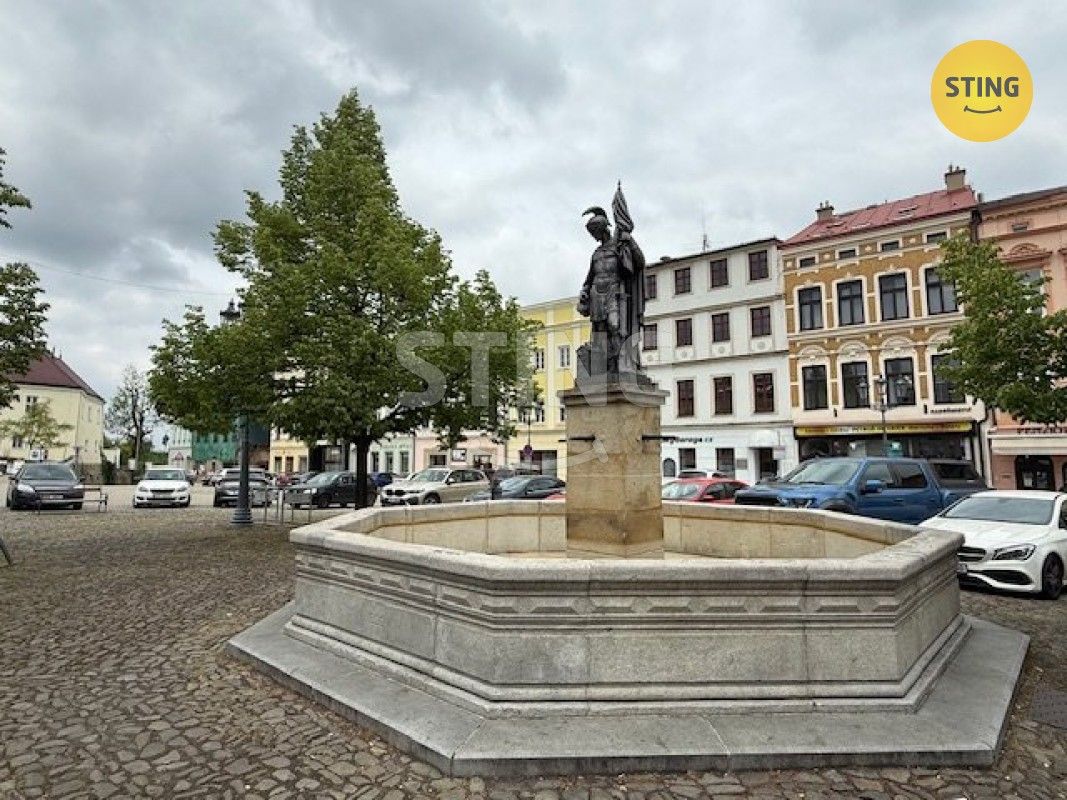 Pronájem kancelář - Zámecké nám.  , Frýdek-Místek, 25 m²