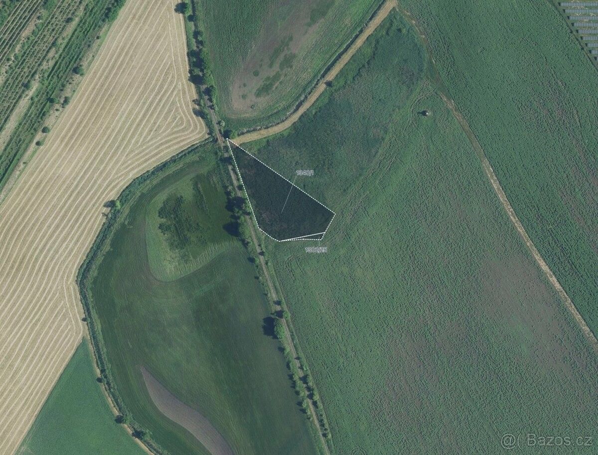 Prodej pozemek pro bydlení - Brumovice na Moravě, 691 11