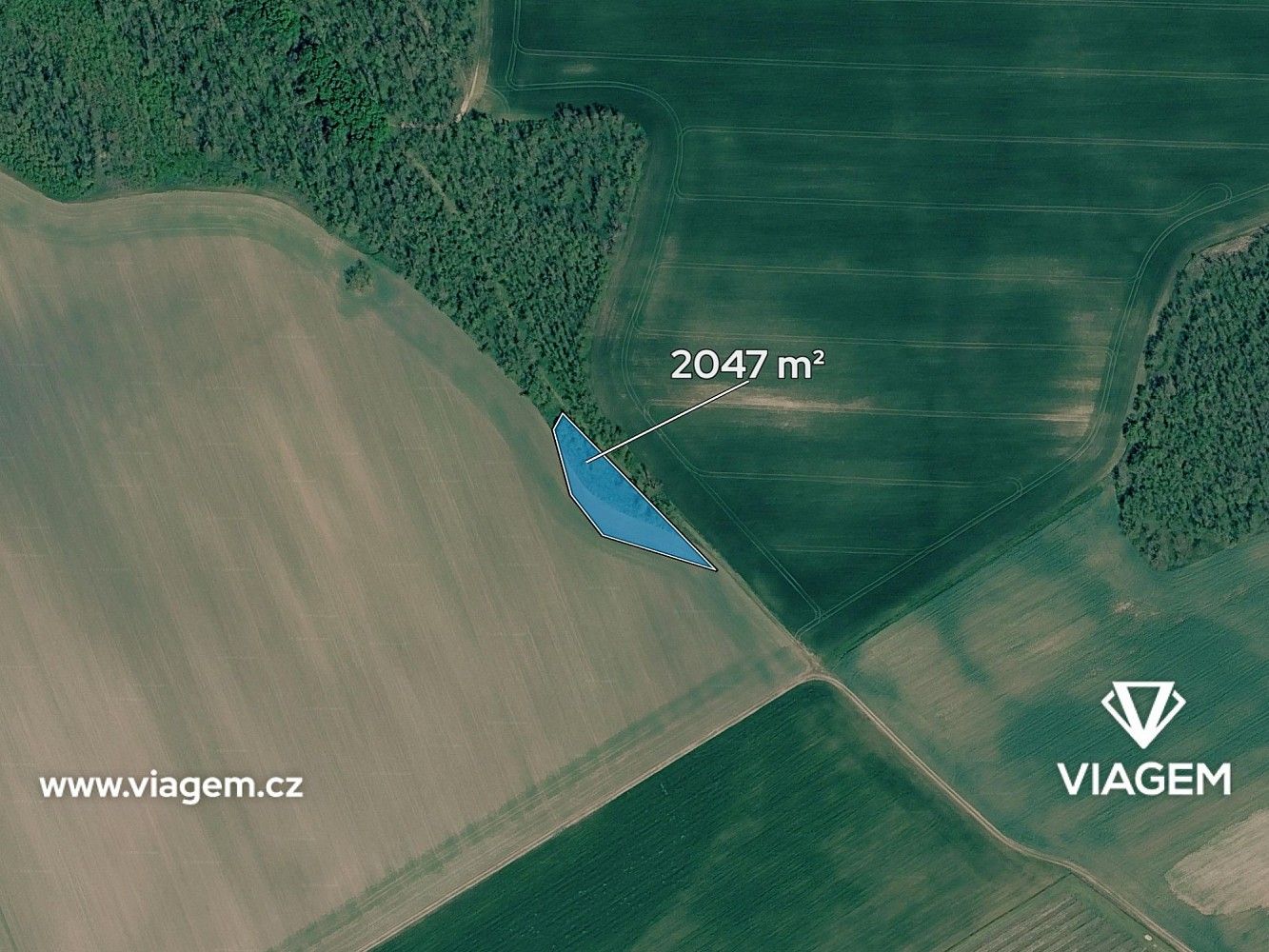 Prodej zemědělský pozemek - Oleksovice, okres Znojmo, Jihomoravský kraj - 2