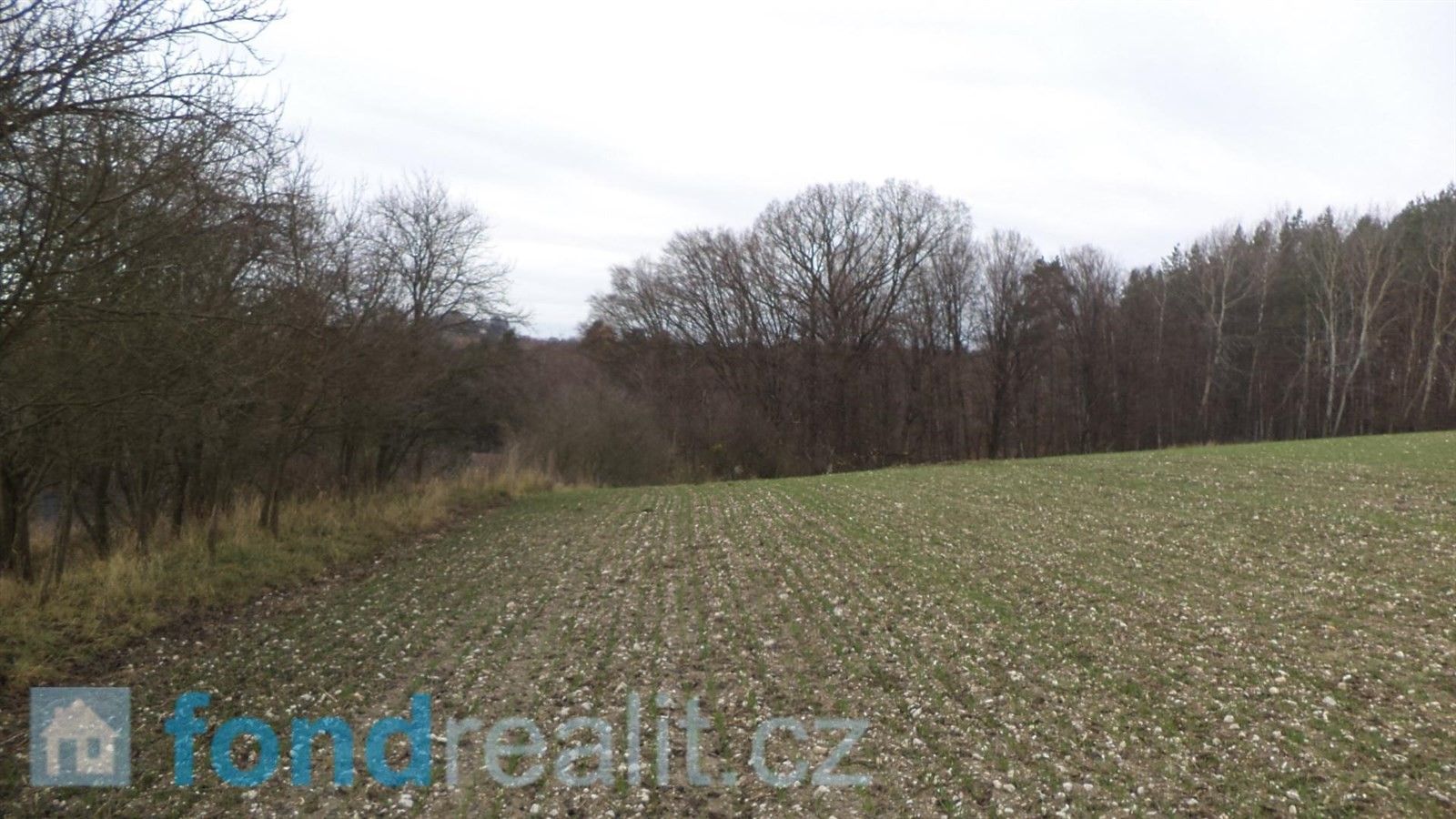Prodej zemědělský pozemek - Hrubá Skála, 4 224 m²