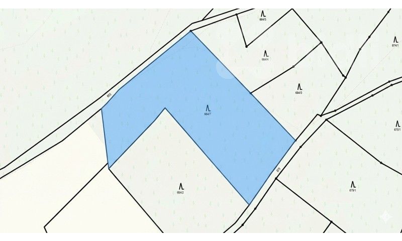 Prodej les - Bohdalovice, Velké Hamry