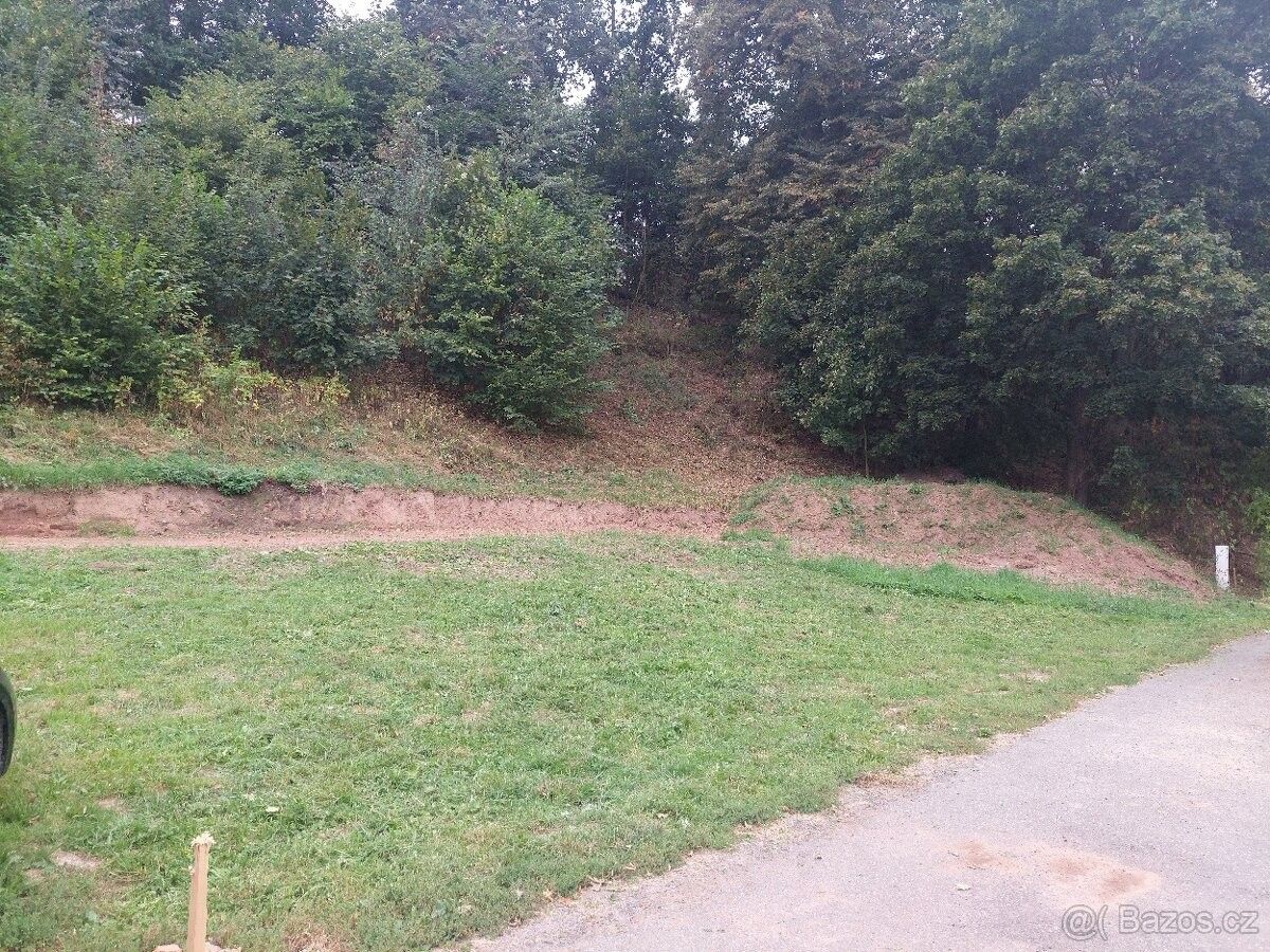 Pozemky pro bydlení, Rychnov na Moravě, 569 34