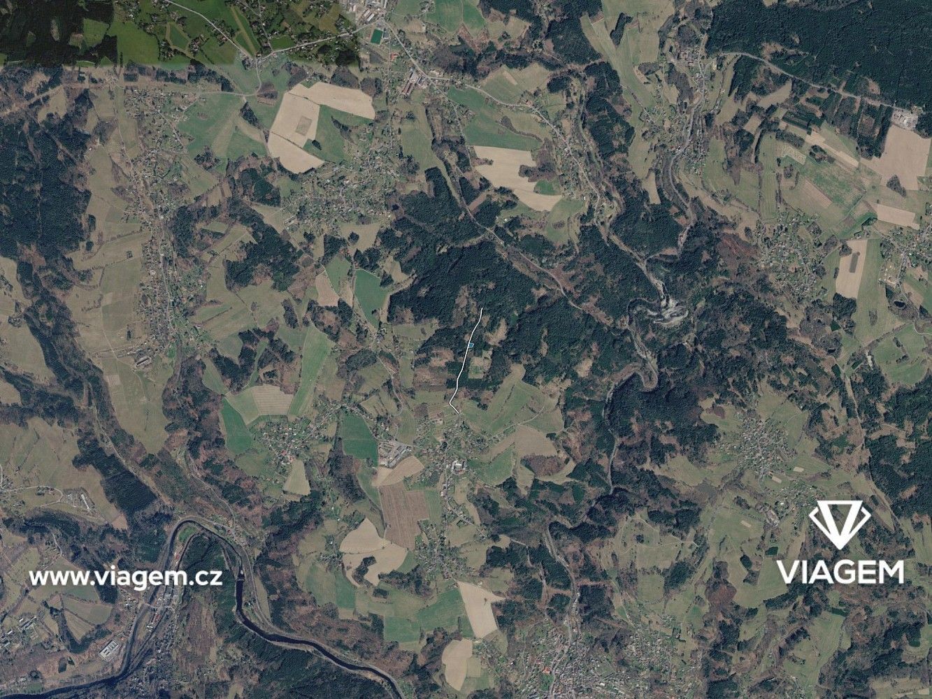 Les · Železný Brod, okres Jablonec nad Nisou, Liberecký kraj - 3