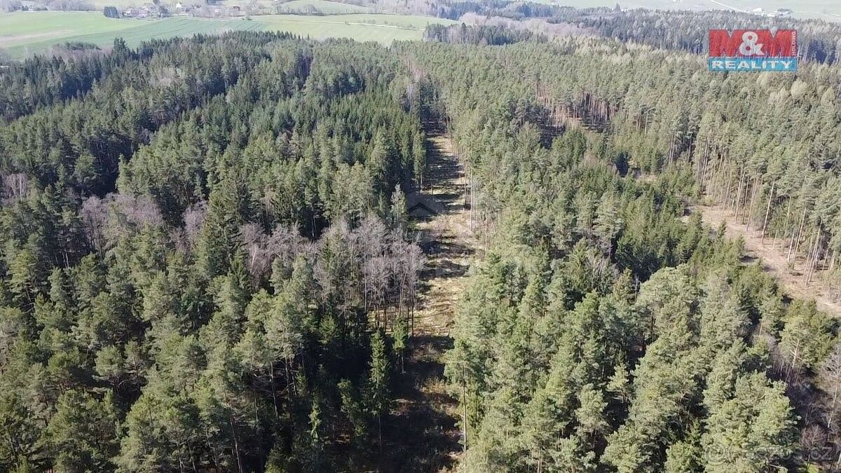 Prodej les - Velešín, 382 32, 9 975 m²