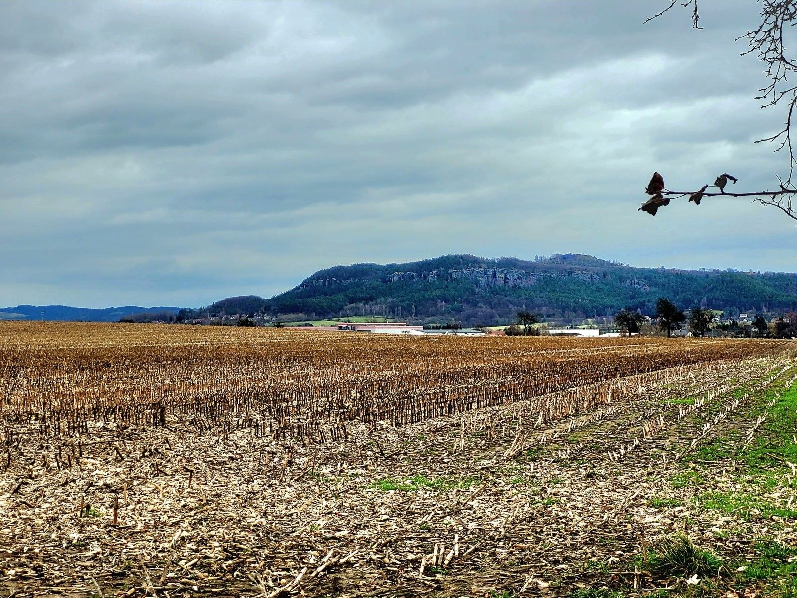 Zemědělský pozemek · 140 145 m² · Sychrov, Mnichovo Hradiště - 3