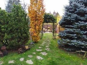 Prodej chata - Heřmanův Městec, 538 03