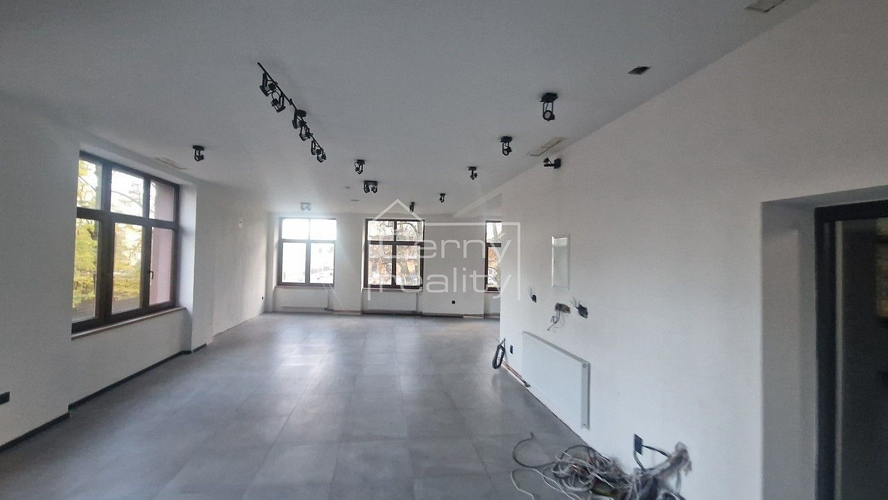 Pronájem obchodní prostory - Hronov, okres Náchod, Královéhradecký kraj, 120 m² - 5