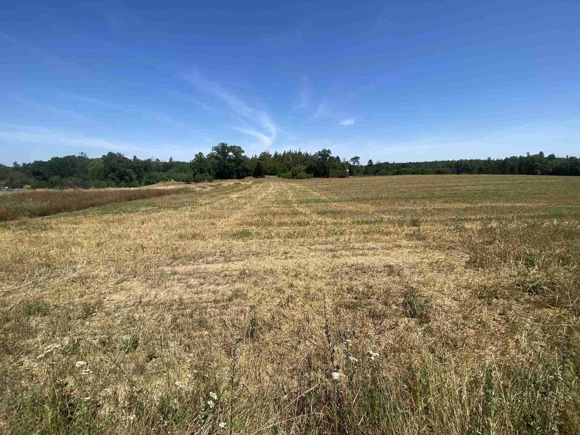 Zemědělské pozemky, Dědovice, Ostrovec, 34 m²