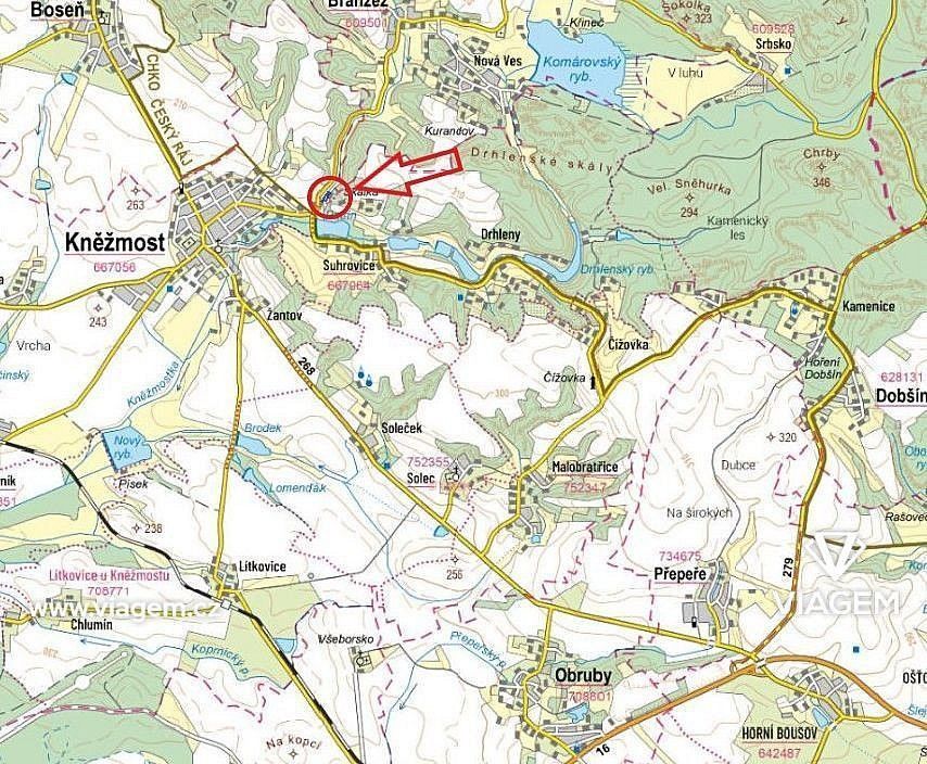 Les · Kněžmost, okres Mladá Boleslav, Středočeský kraj - 4