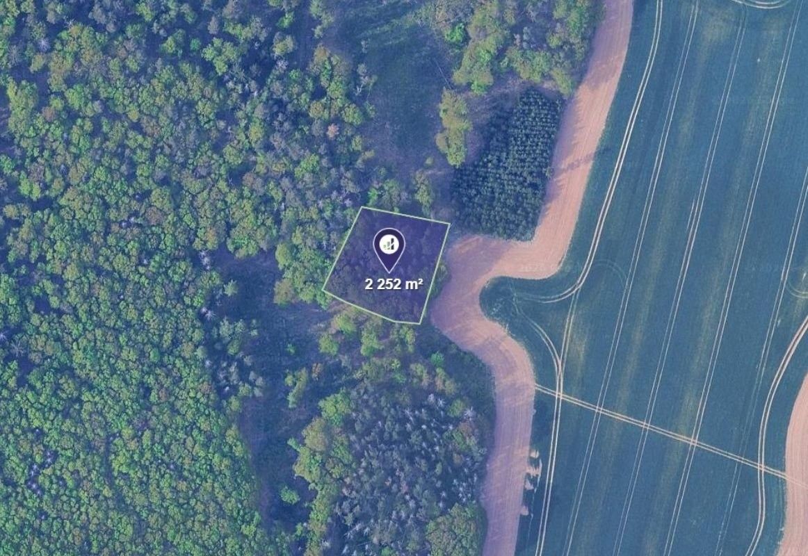 Louky, Skalička, 8 191 m² - 2