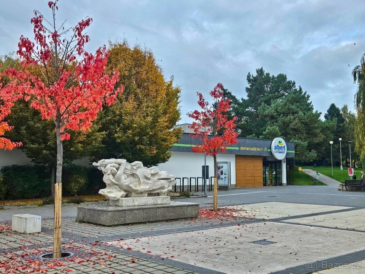 Prodej pozemek pro bydlení - Brno, 623 00