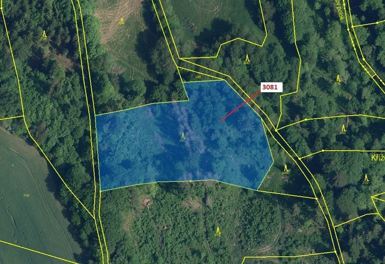 Lesy, Benešov u Semil - 2