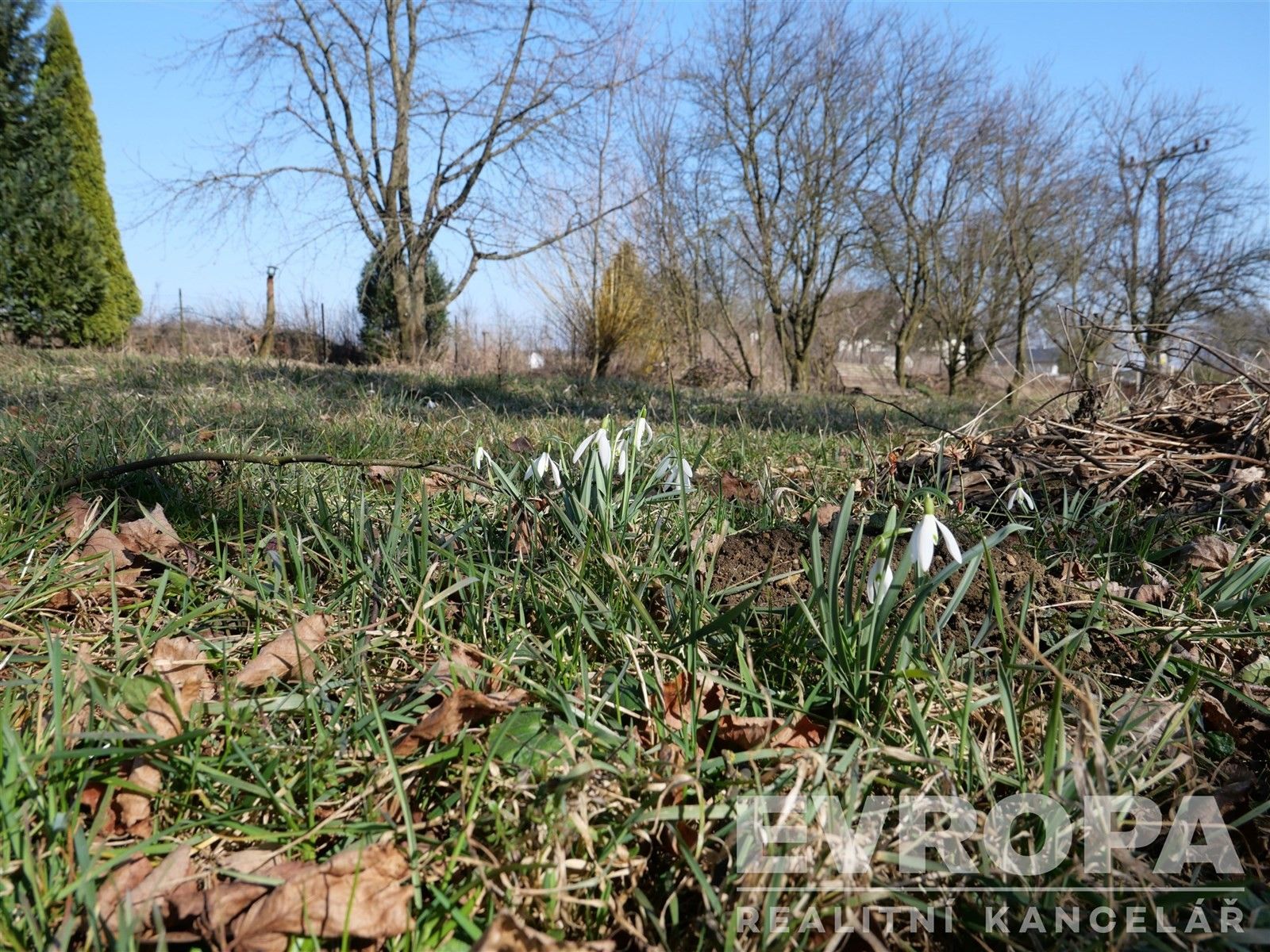 Prodej zahrada - Větrný Jeníkov