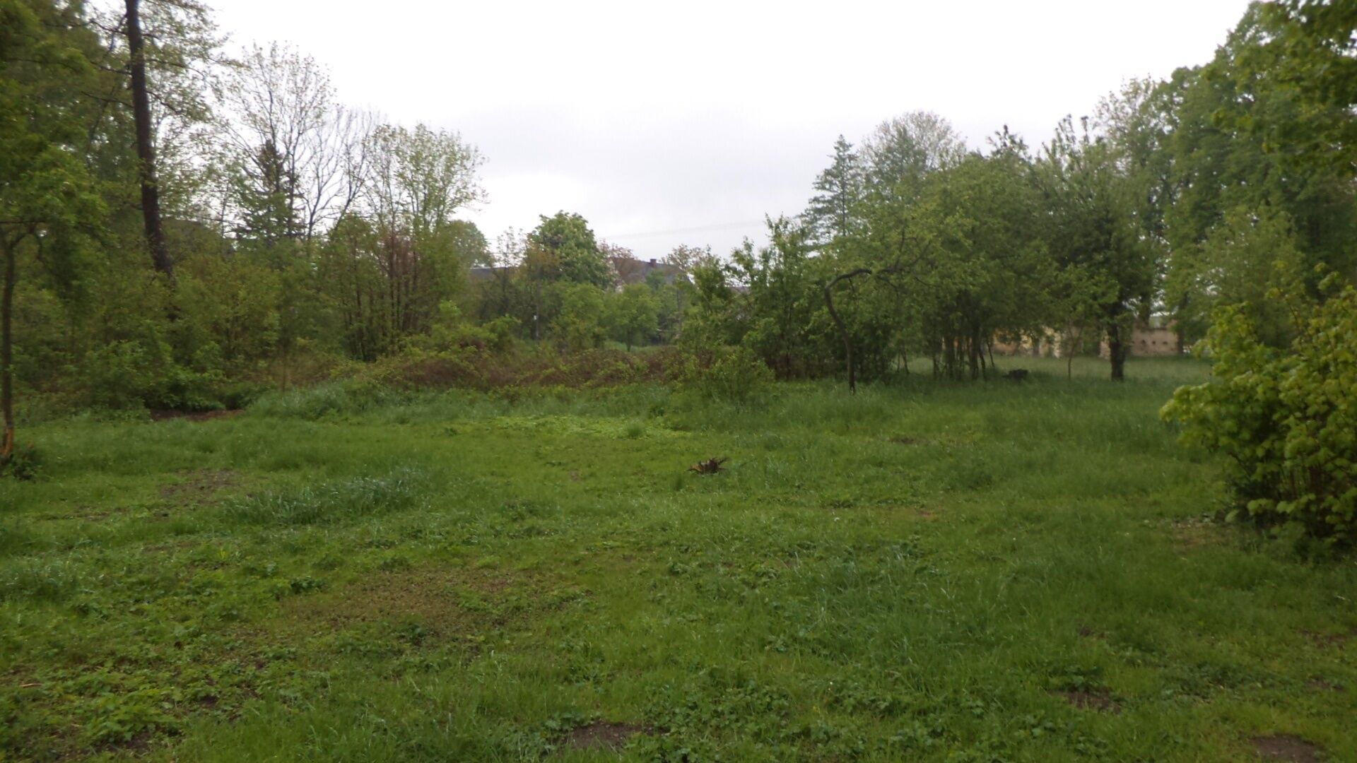 Ostatní, Vlčice, 1 m²