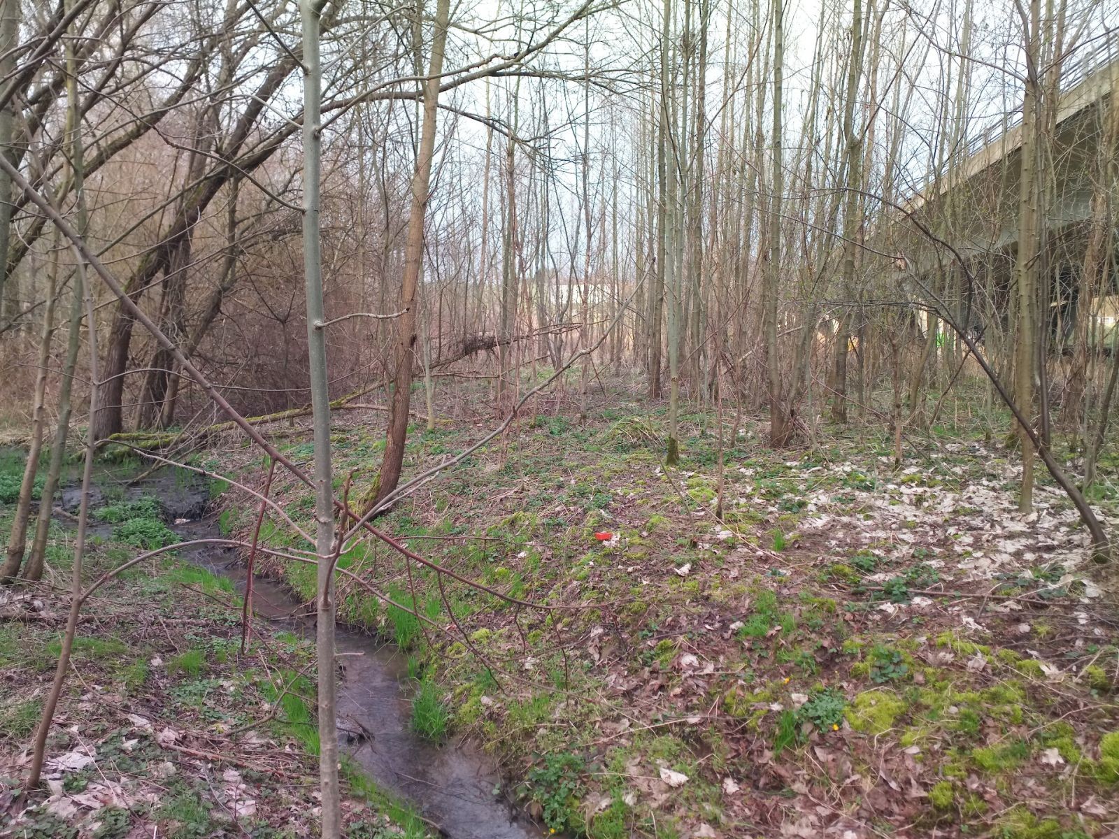 Louka · Klimkovice - Klimkovice, Moravskoslezský kraj - 3