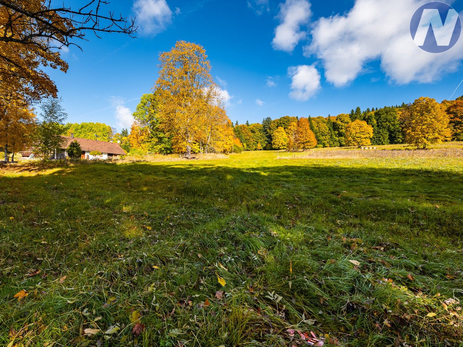 Prodej louka - Stožec, 6 m²