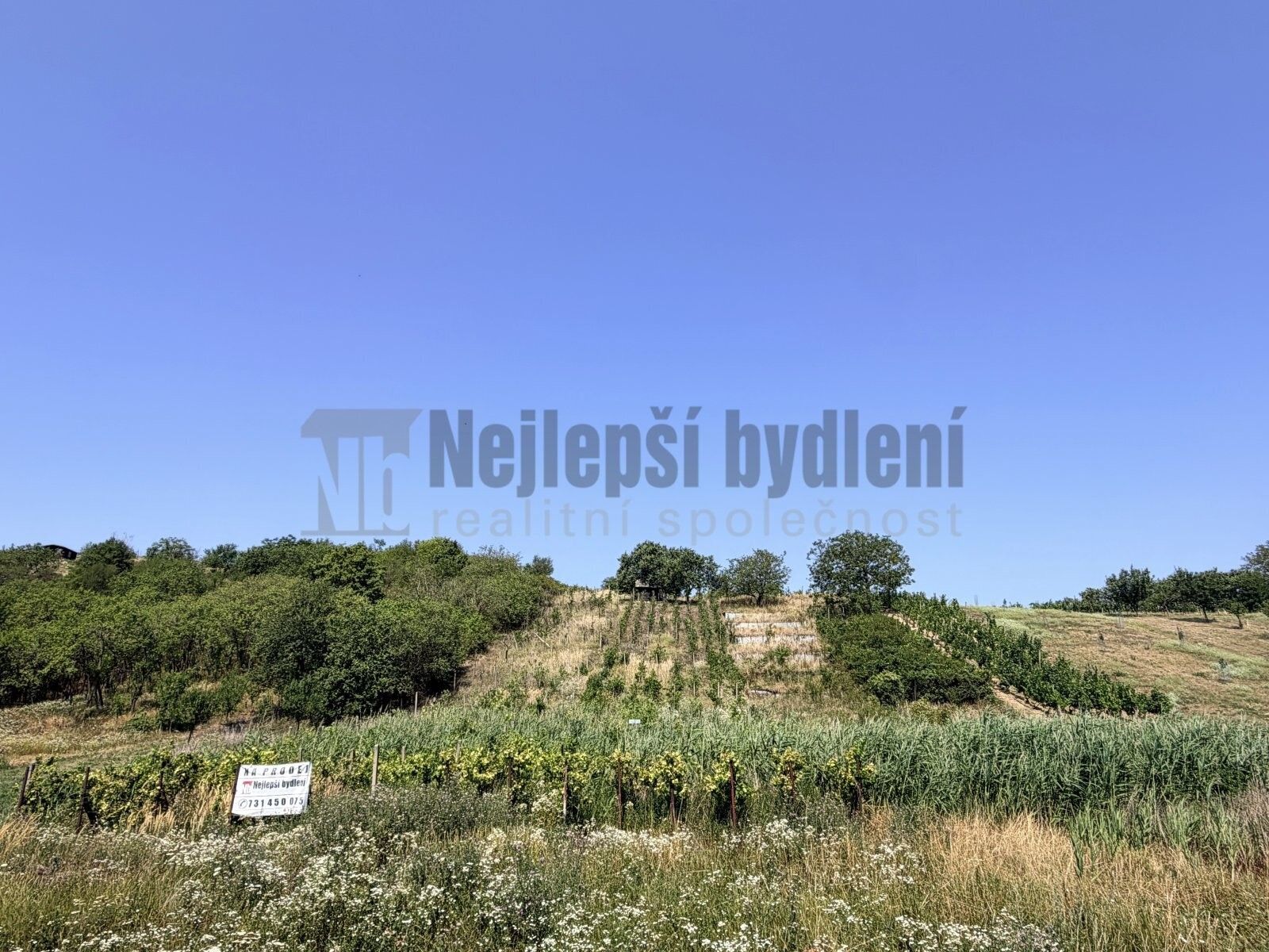 Pozemek pro bydlení · 3 395 m² · Bořetice,Bořetice - 3