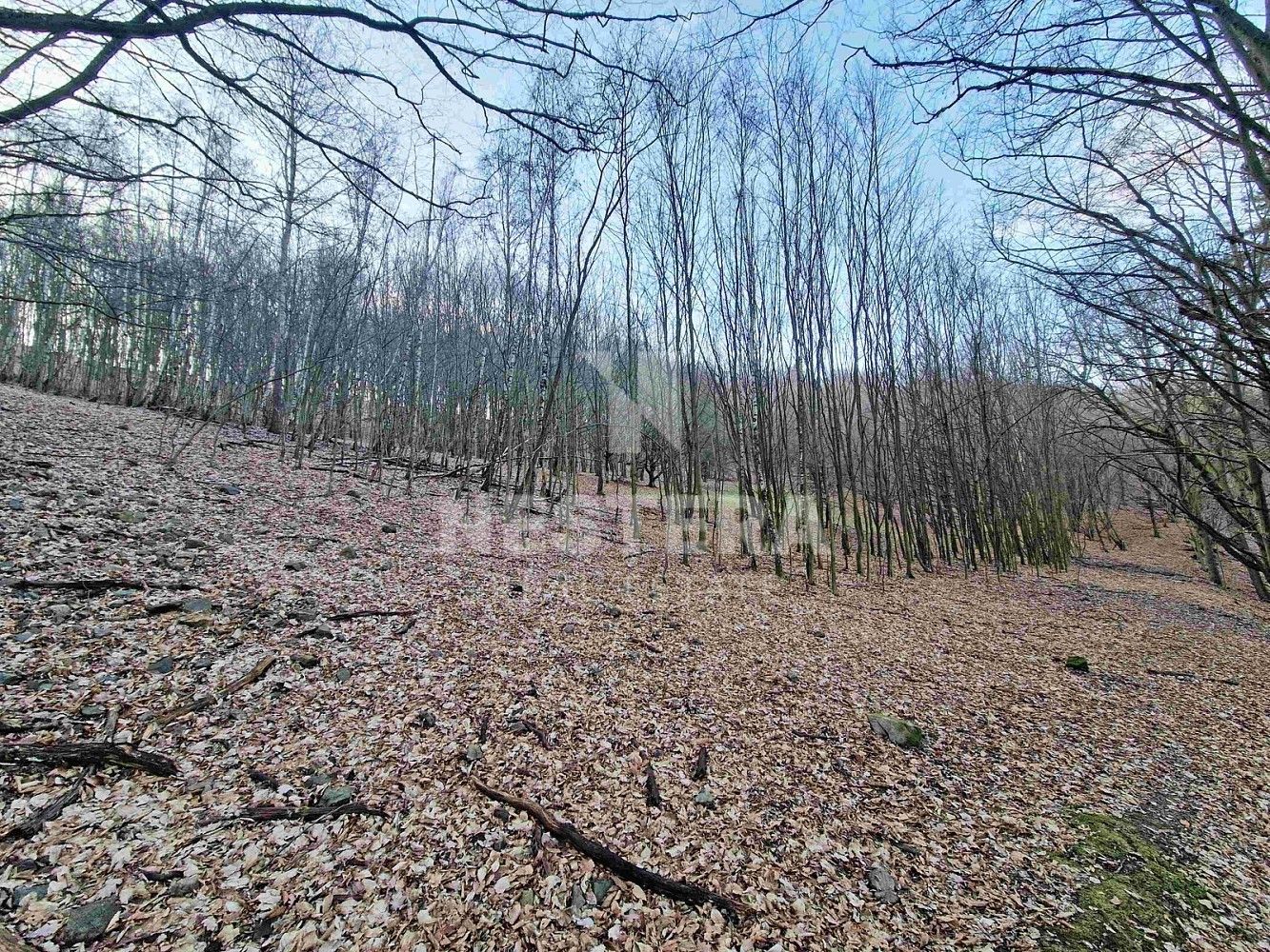 Prodej louka - Jílové u Prahy, okres Praha-západ, Středočeský kraj - 1
