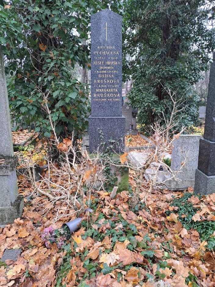 Prodej ostatní - Praha, 108 00