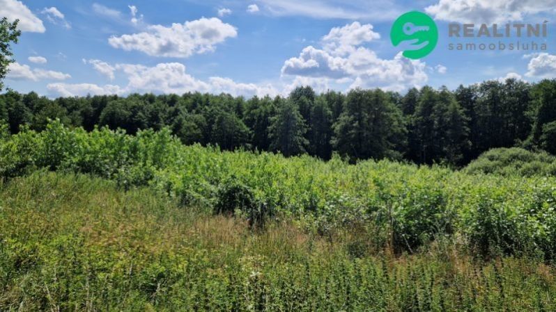 Pozemky pro bydlení, Hamr na Jezeře, 8 743 m²