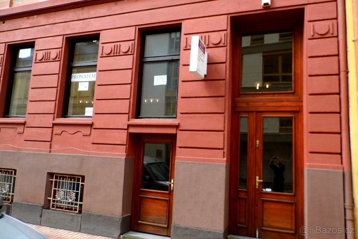 Obchodní prostory, České Budějovice, 370 01