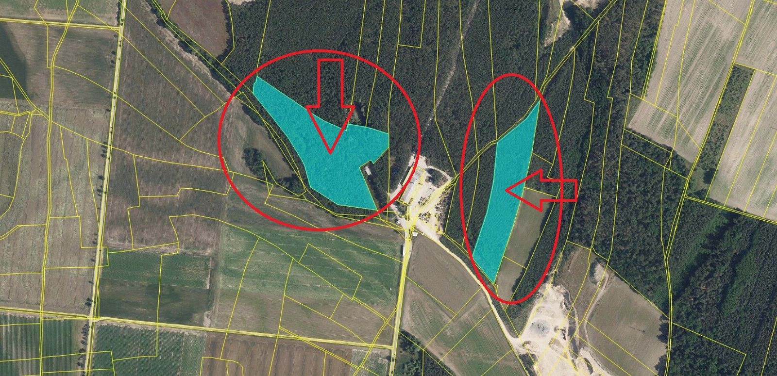 Lesy, Sojovice - Drnovice, okres Mladá Boleslav, Středočeský kraj - 2