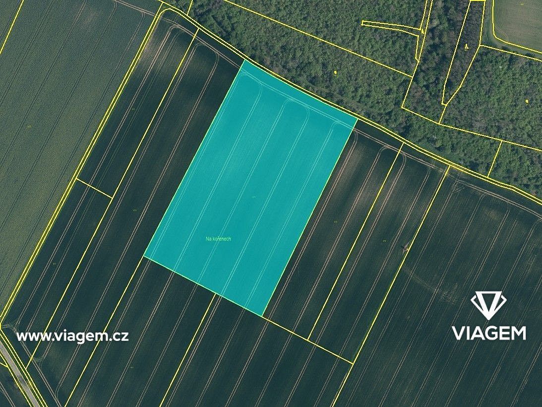 Zemědělský pozemek · Mělnické Vtelno, okres Mělník, Středočeský kraj - 3