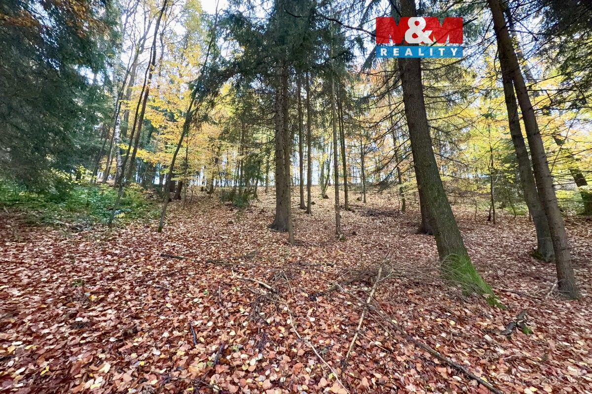 Pozemky pro bydlení, Zábřeh, 789 01