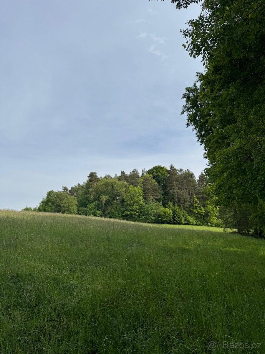 Prodej pozemek pro bydlení - Český Dub, 463 43