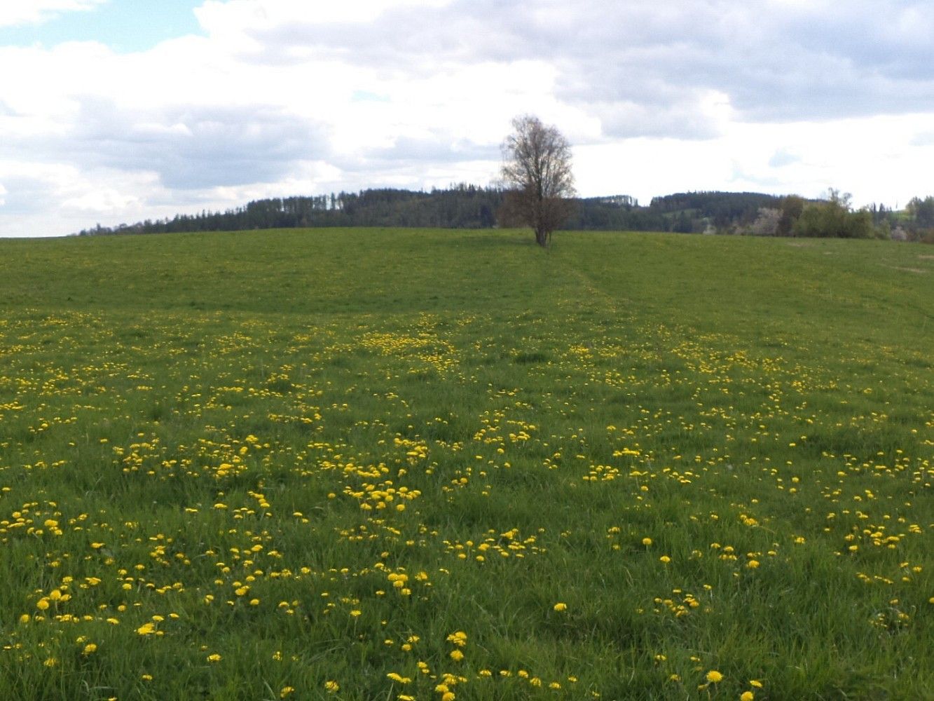 Louka · Světlá Hora, okres Bruntál, Moravskoslezský kraj - 1