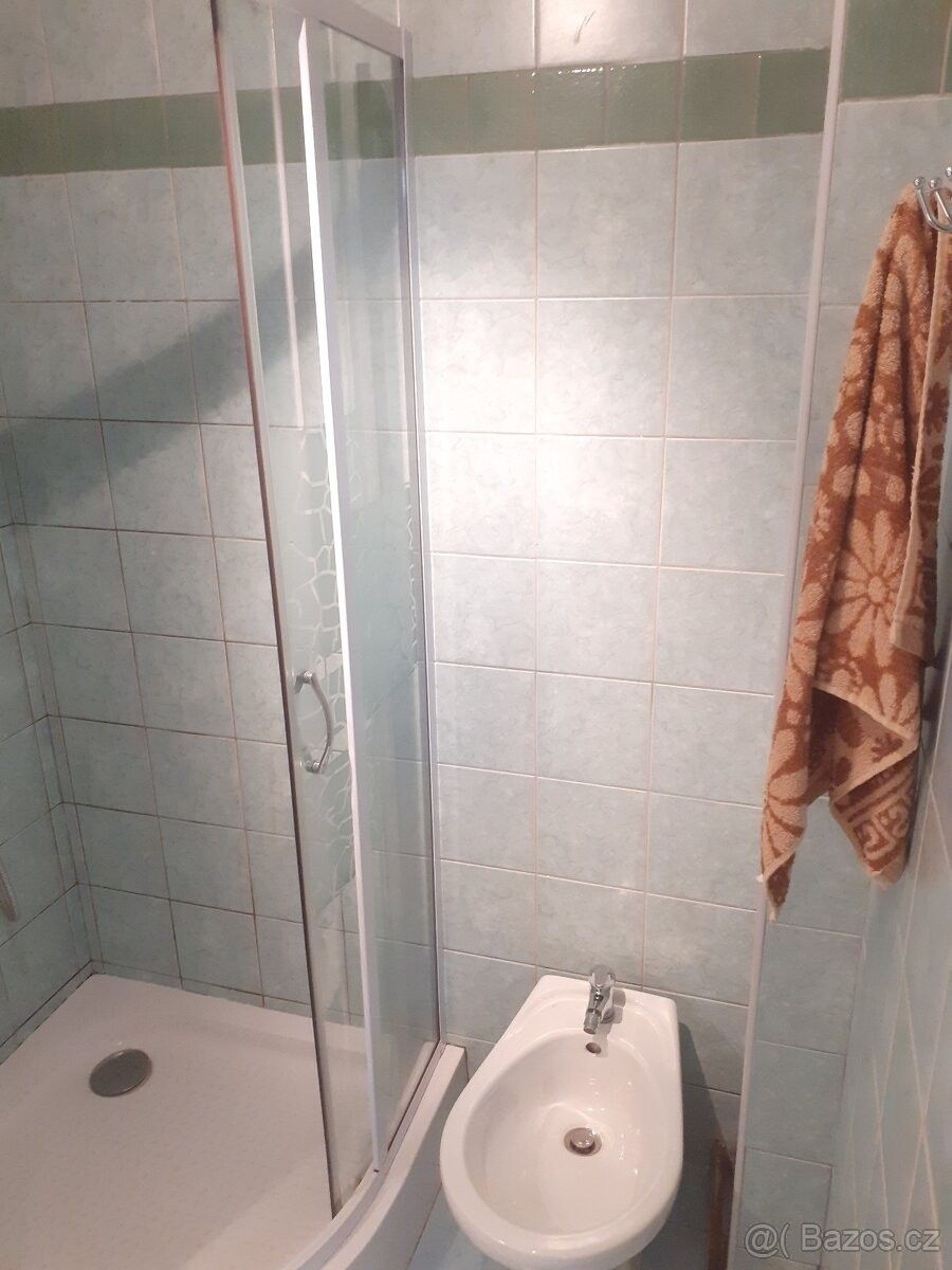 Rodinný dům · Žádovice, 696 49 - 4