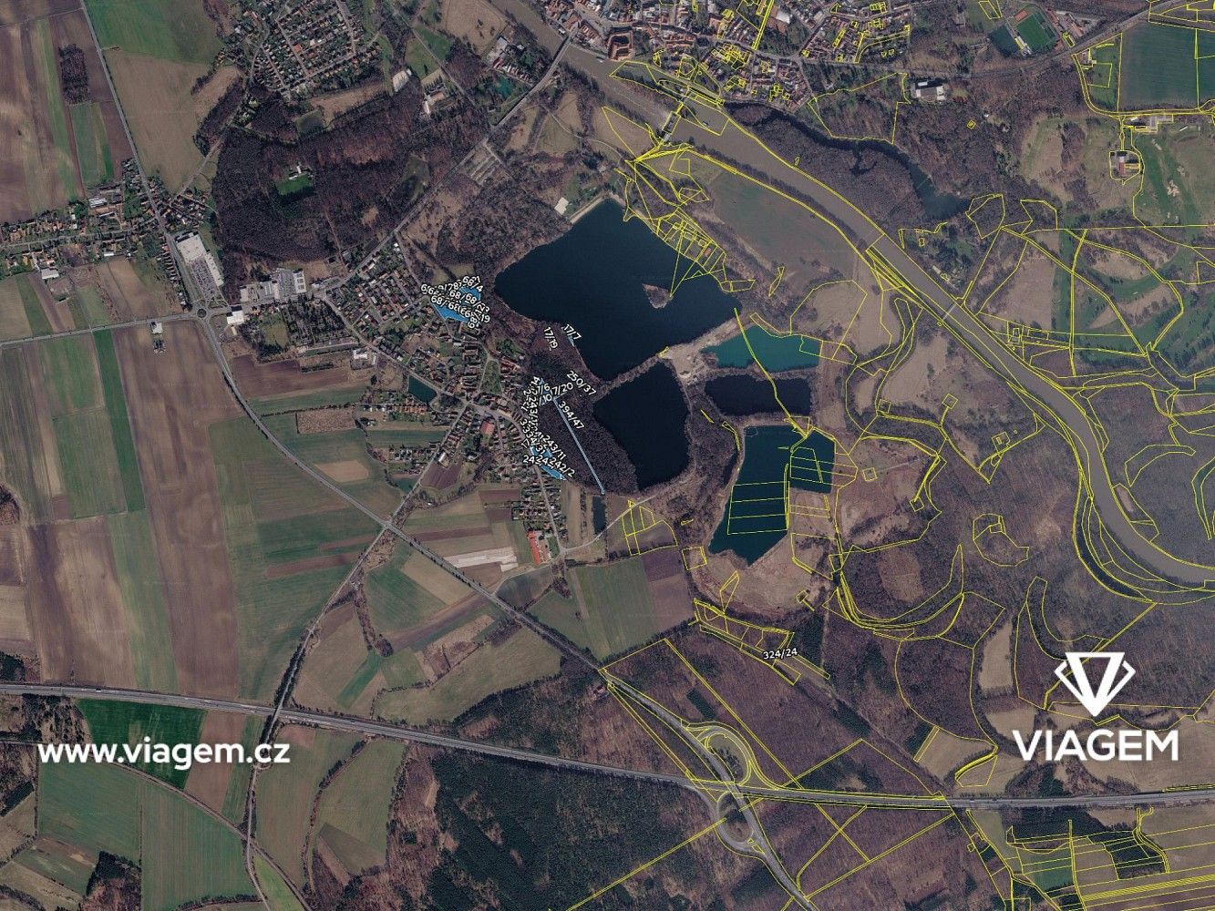 Les · Poděbrady, okres Nymburk, Středočeský kraj - 4