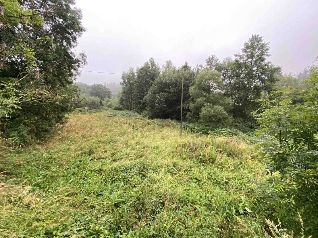 Ostatní, Andělská Hora Pustá Rudná, 1 758 m² - 2