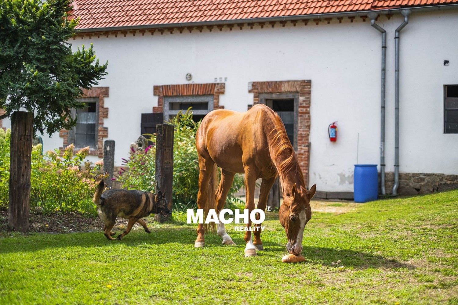 Prodej rodinný dům - Žďár - Nová Ves u Protivína, okres Písek, 181 m² - 5