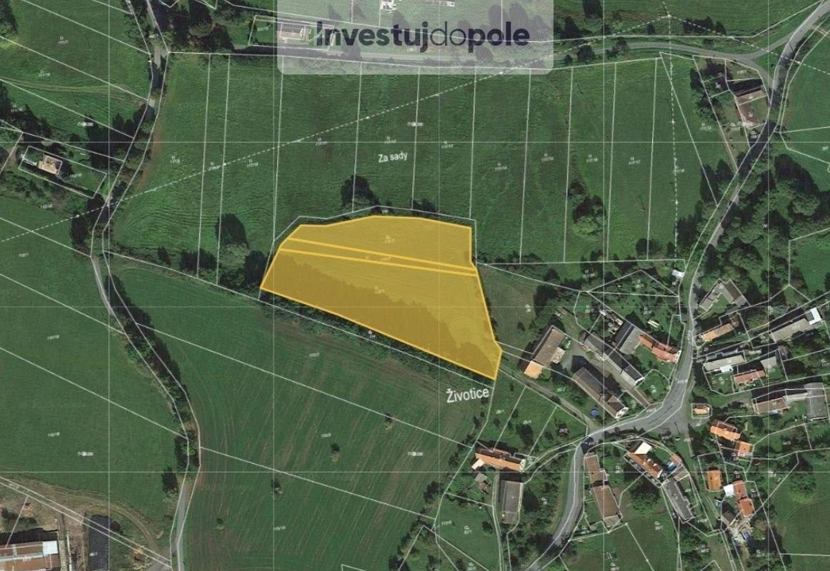 Prodej louka - Kasejovice, 335 44, 4 118 m²