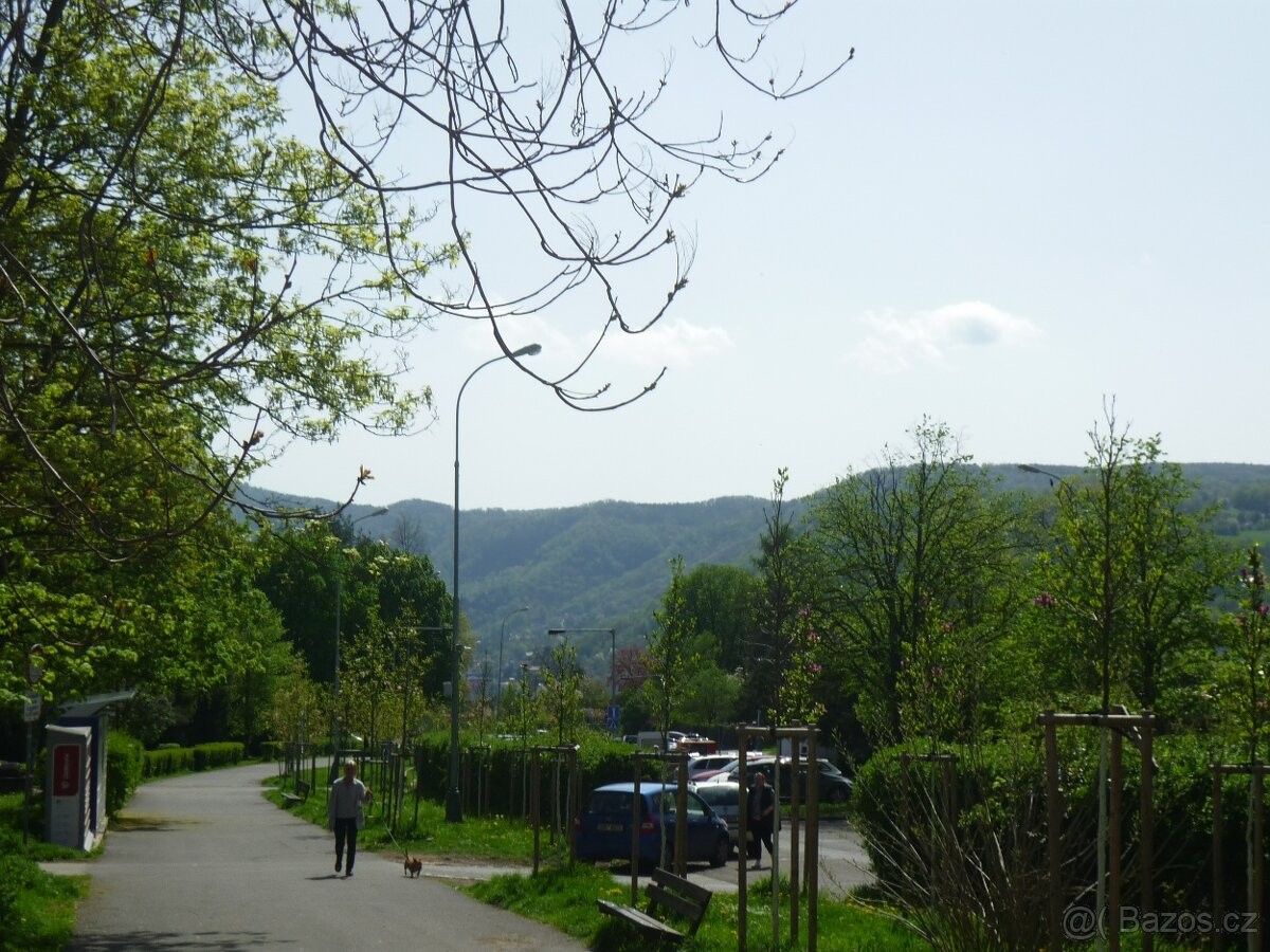 Pronájem byt - Ústí nad Labem, 400 11