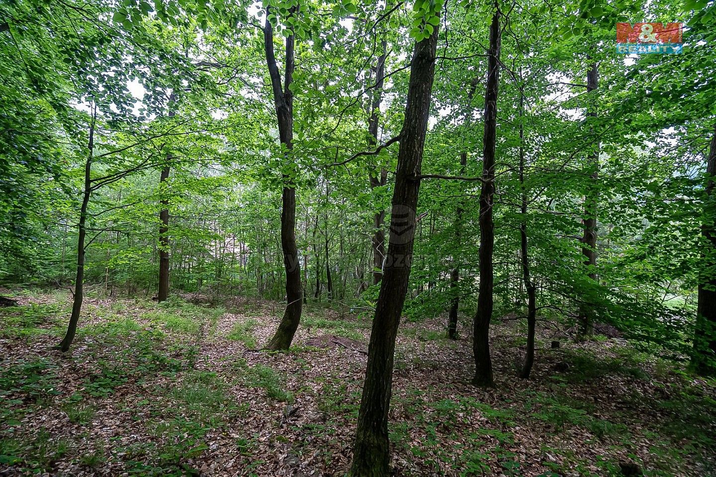 Pozemek pro bydlení · Klopina - Veleboř, okres Šumperk, Olomoucký kraj - 4