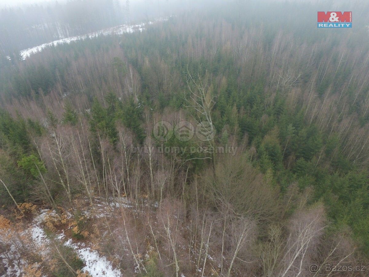 Lesy, Česká Třebová, 560 02, 7 313 m²