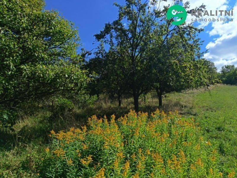 Zahrada · 4 839 m² · Blišice, Koryčany - 3