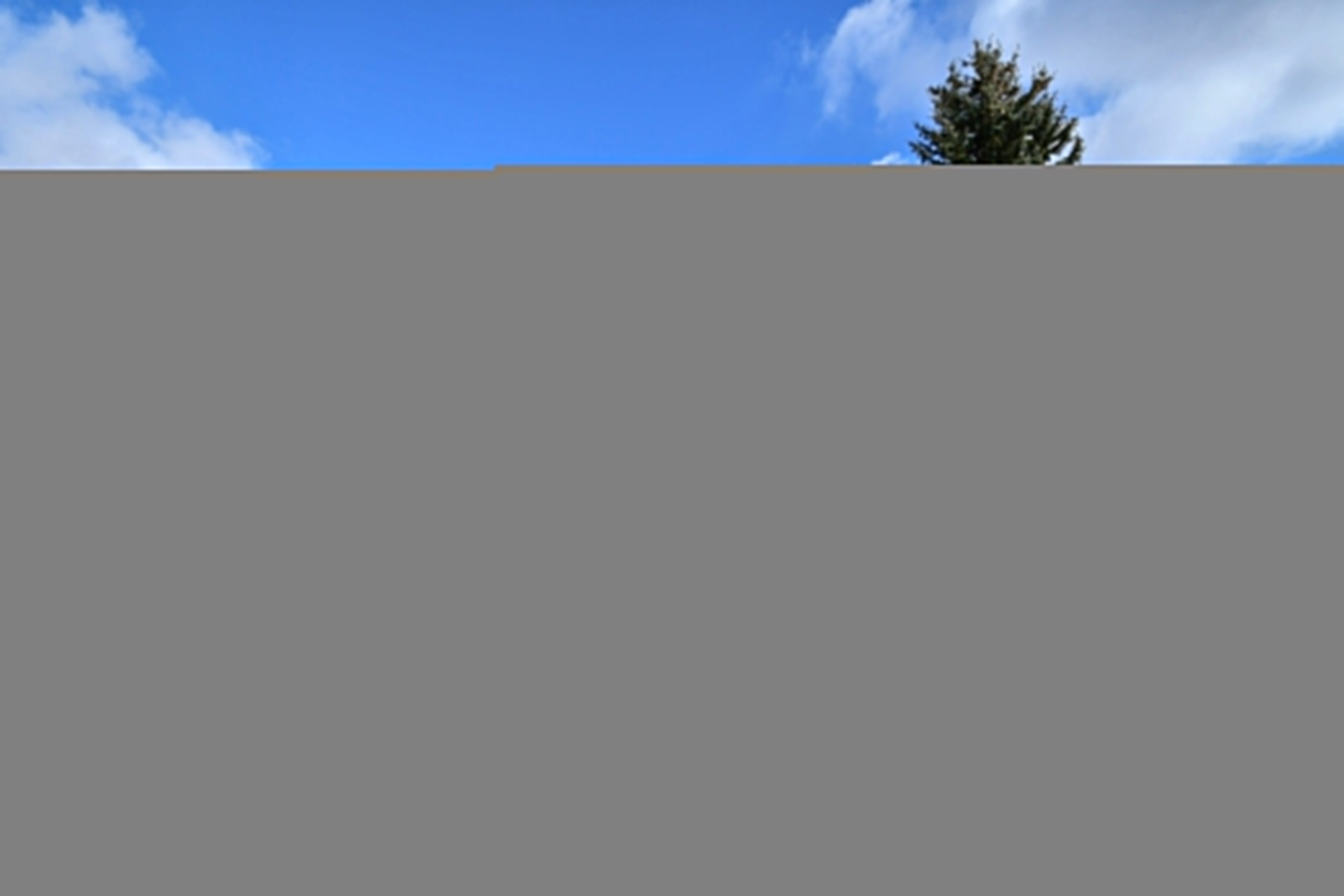 Prodej komerční - Hodonín, 1 m²