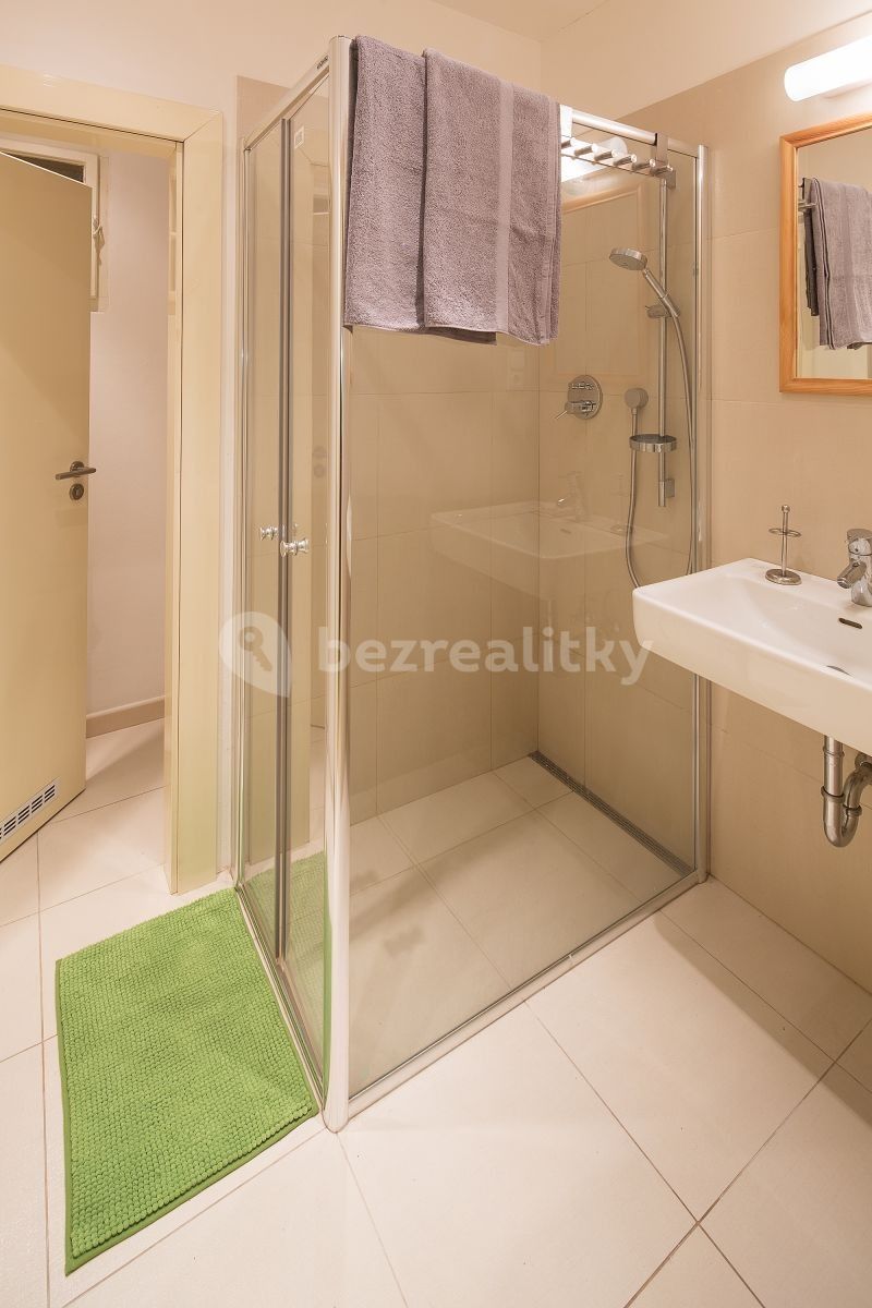Pronájem byt 1+1 - Haštalská, Praha - Staré Město, 46 m² - 5