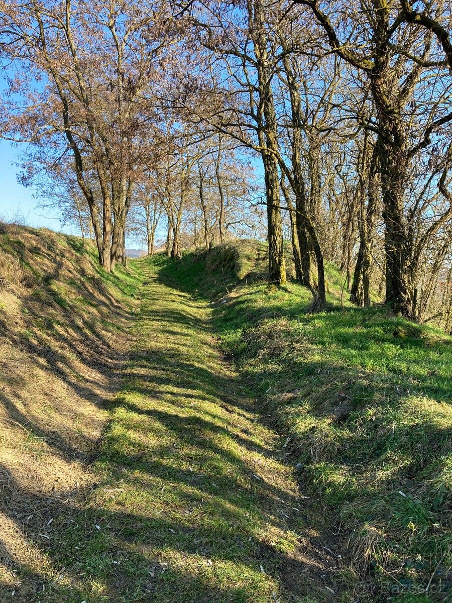 Zahrady, Písek, 397 01 - 2
